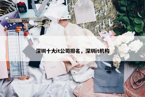 深圳十大it公司排名，深圳it机构