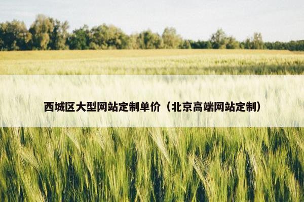 西城区大型网站定制单价（北京高端网站定制）