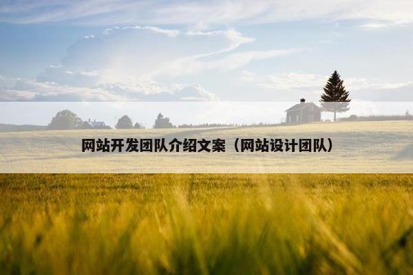网站开发团队介绍文案（网站设计团队）