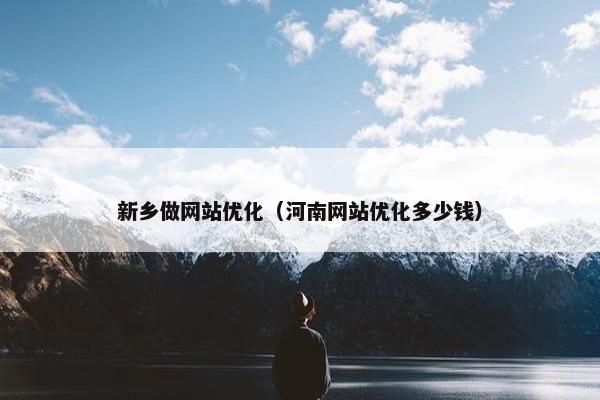 新乡做网站优化（河南网站优化多少钱）
