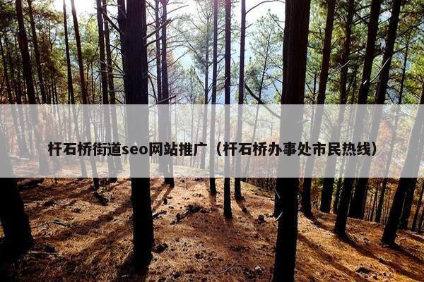 杆石桥街道seo网站推广（杆石桥办事处市民热线）