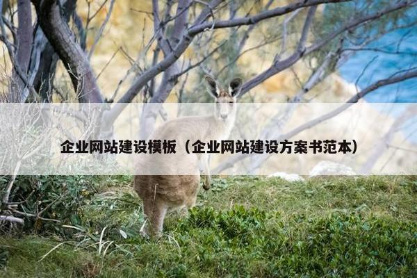 企业网站建设模板（企业网站建设方案书范本）