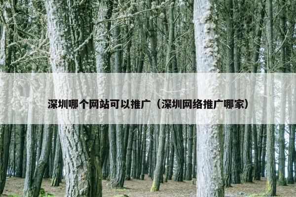 深圳哪个网站可以推广（深圳网络推广哪家）