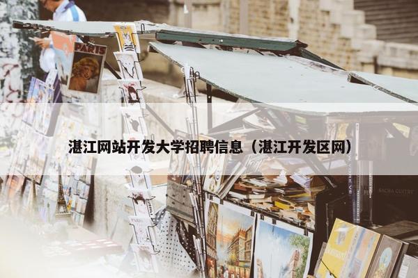 湛江网站开发大学招聘信息（湛江开发区网）