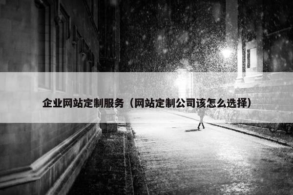企业网站定制服务（网站定制公司该怎么选择）