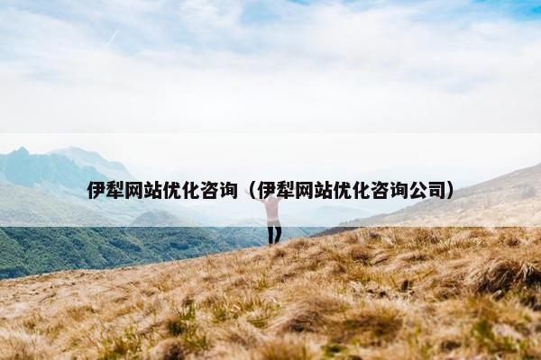 伊犁网站优化咨询（伊犁网站优化咨询公司）