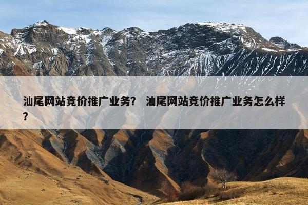 汕尾网站竞价推广业务？ 汕尾网站竞价推广业务怎么样？