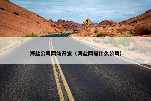 海盐公司网站开发（海盐网是什么公司）