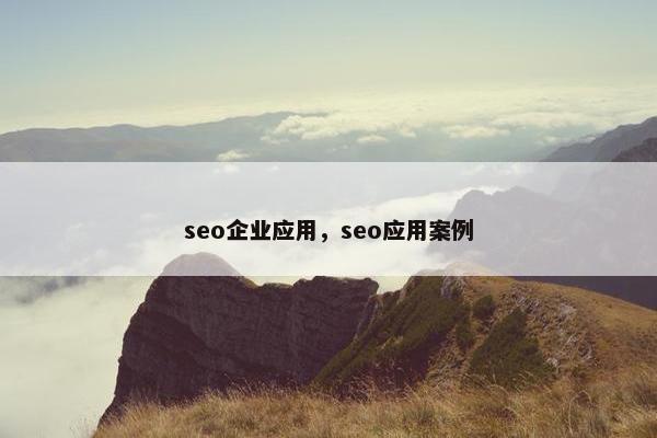 seo企业应用，seo应用案例