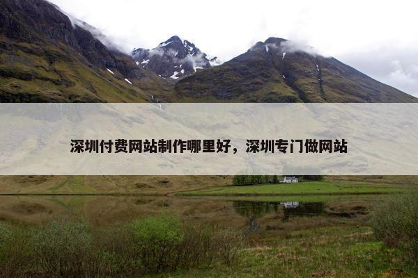 深圳付费网站制作哪里好，深圳专门做网站