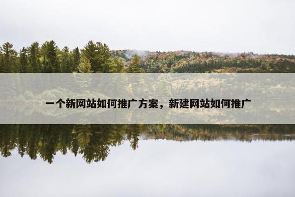 一个新网站如何推广方案，新建网站如何推广