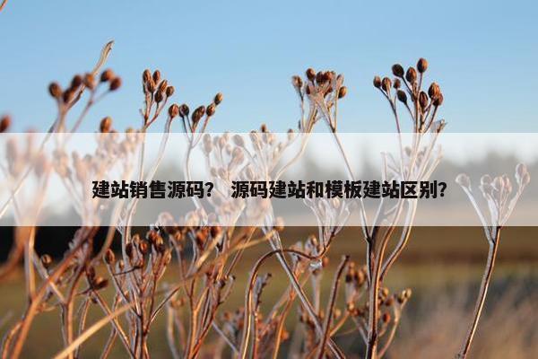 建站销售源码？ 源码建站和模板建站区别？