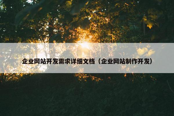 企业网站开发需求详细文档（企业网站制作开发）