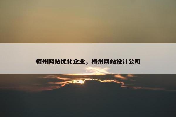 梅州网站优化企业，梅州网站设计公司