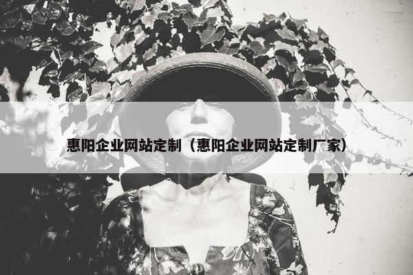 惠阳企业网站定制（惠阳企业网站定制厂家）