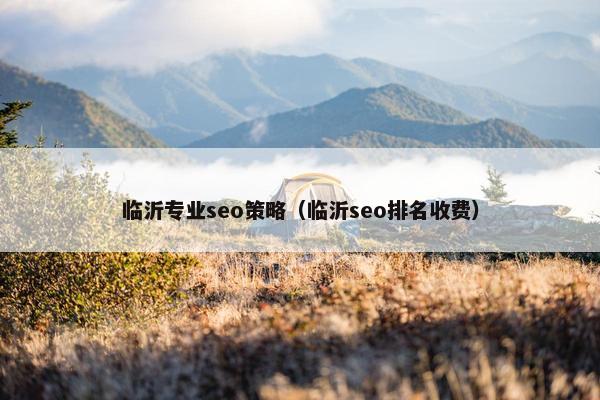 临沂专业seo策略（临沂seo排名收费）