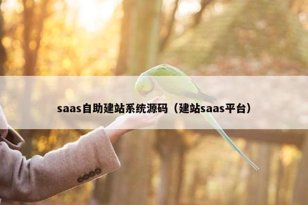 saas自助建站系统源码（建站saas平台）