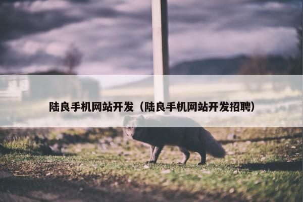陆良手机网站开发（陆良手机网站开发招聘）