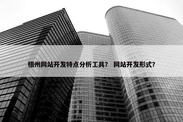 梧州网站开发特点分析工具？ 网站开发形式？