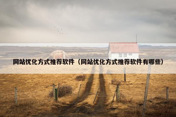 网站优化方式推荐软件（网站优化方式推荐软件有哪些）