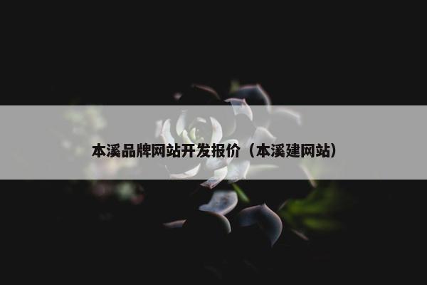 本溪品牌网站开发报价（本溪建网站）