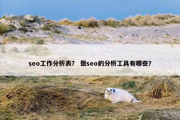 seo工作分析表？ 做seo的分析工具有哪些？