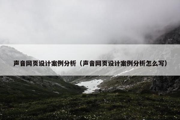 声音网页设计案例分析（声音网页设计案例分析怎么写）