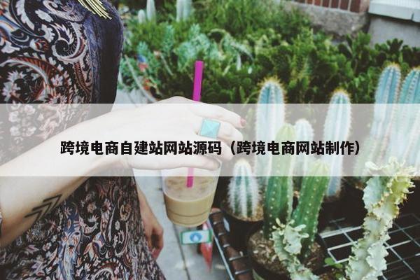 跨境电商自建站网站源码（跨境电商网站制作）