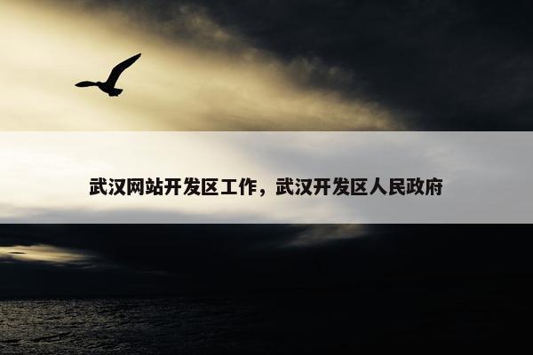 武汉网站开发区工作，武汉开发区人民政府