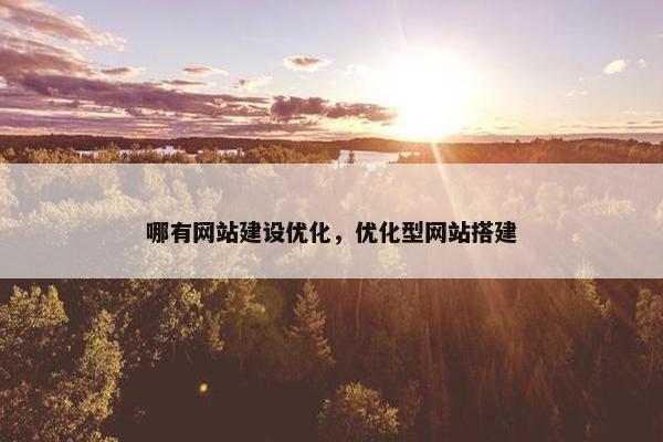 哪有网站建设优化，优化型网站搭建