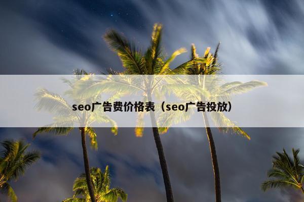 seo广告费价格表（seo广告投放）