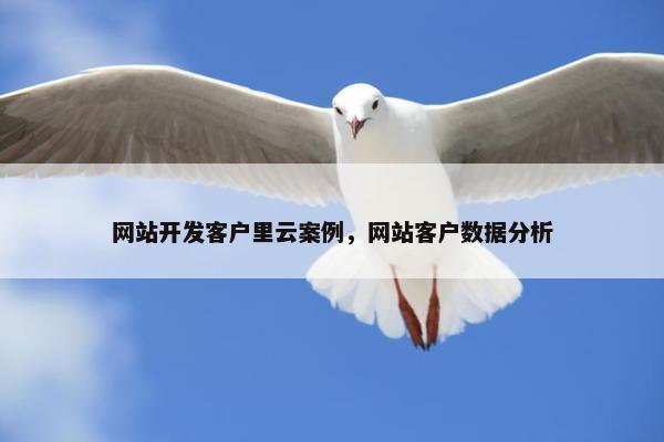 网站开发客户里云案例，网站客户数据分析