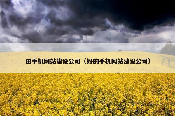 田手机网站建设公司（好的手机网站建设公司）