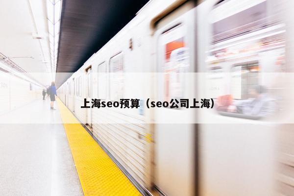 上海seo预算（seo公司上海）