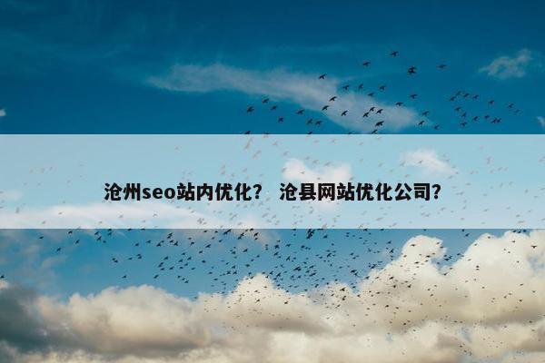 沧州seo站内优化？ 沧县网站优化公司？