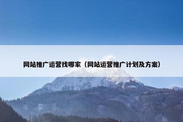 网站推广运营找哪家（网站运营推广计划及方案）
