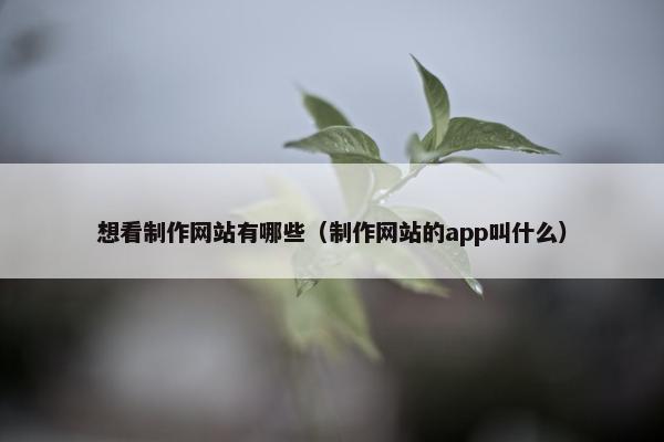 想看制作网站有哪些（制作网站的app叫什么）
