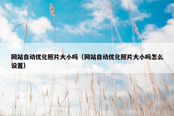 网站自动优化照片大小吗（网站自动优化照片大小吗怎么设置）