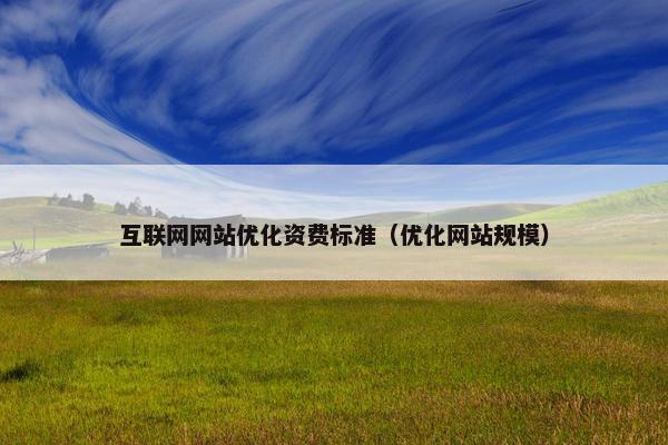 互联网网站优化资费标准（优化网站规模）