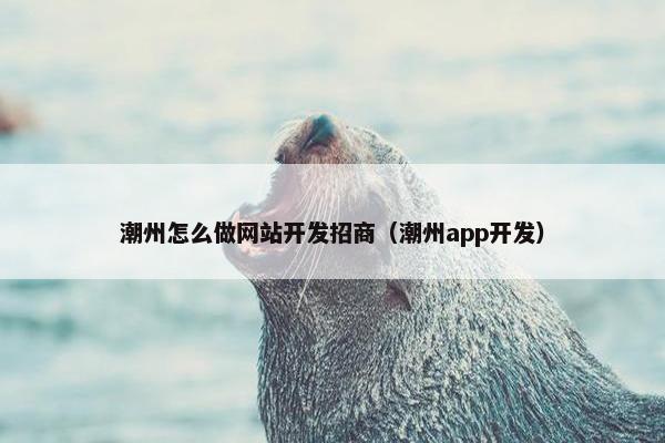 潮州怎么做网站开发招商（潮州app开发）