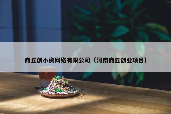 商丘创小资网络有限公司（河南商丘创业项目）