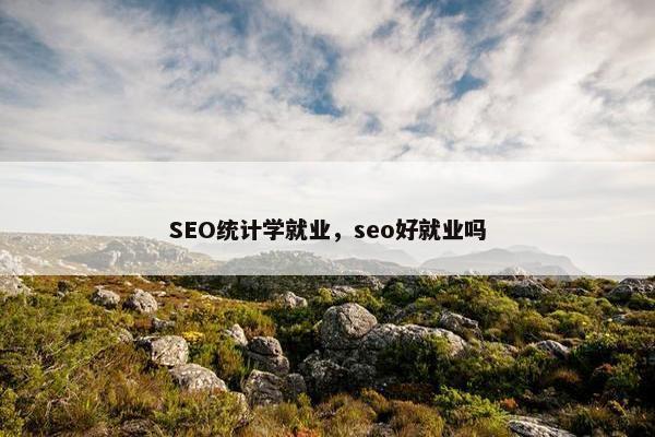 SEO统计学就业，seo好就业吗