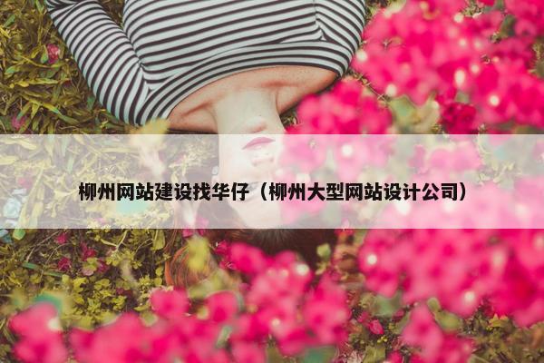 柳州网站建设找华仔（柳州大型网站设计公司）