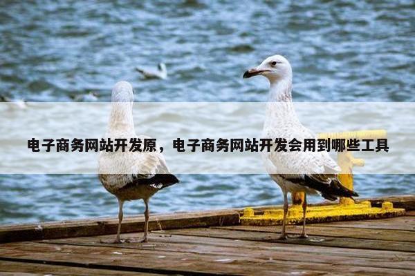 电子商务网站开发原，电子商务网站开发会用到哪些工具