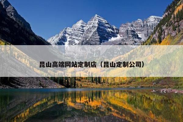 昆山高端网站定制店（昆山定制公司）