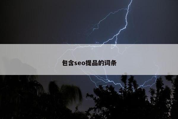 包含seo提品的词条