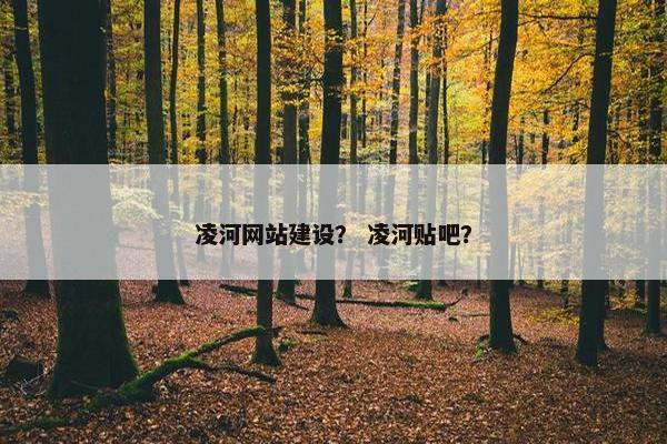 凌河网站建设？ 凌河贴吧？