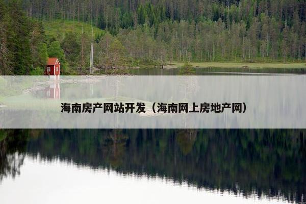 海南房产网站开发（海南网上房地产网）
