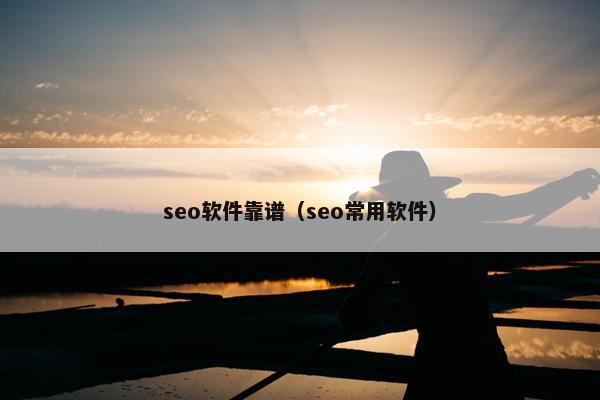 seo软件靠谱（seo常用软件）