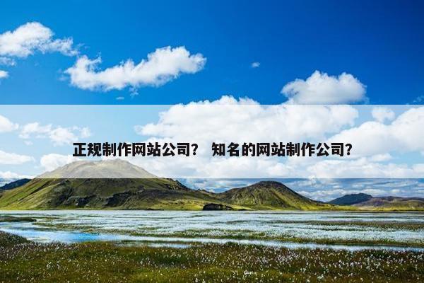 正规制作网站公司？ 知名的网站制作公司？